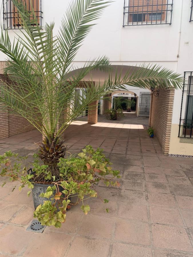 Apartamento Apartamento a estrenar a un minuto del Alcázar Córdoba Exterior foto